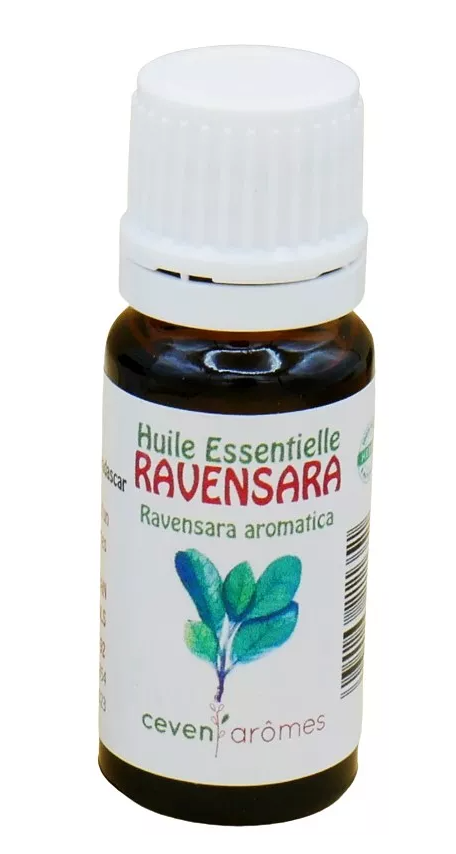 Ceven Aromes - HEBBD Ätherisches Ravensaraöl – 10 ml