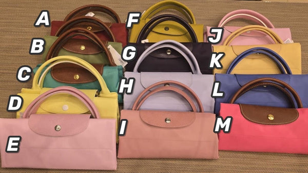 Longchamp Pliage Weekender